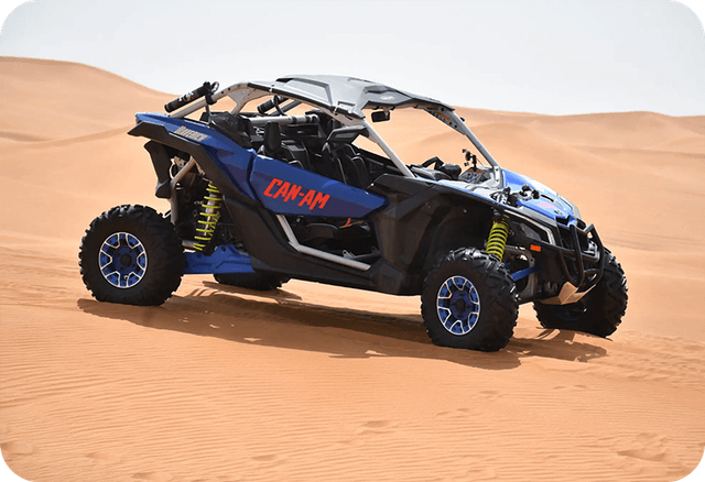 Buggy and Bike Tours